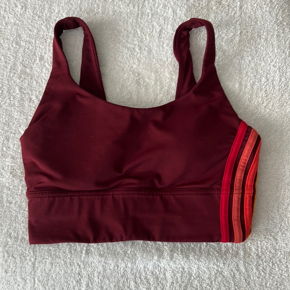 Lulu Lemon “Take A Hint” sports bra